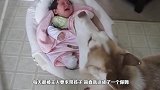 狗狗正在睡觉，小宝宝一下趴到了它身上，这表情差点笑岔气