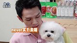 活久见！李佳琦爱犬随音乐唱歌，黄渤被圈粉称never是个奇迹