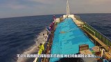 日本大厨处理鳗鱼，刚想反咬一口就被“爆头”，趁着没死切成刺身