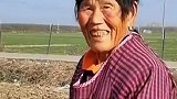 淳朴阿姨遇到善良老板，拾粮食不丢人