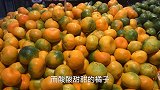 橘子应季上市，只需死记3个部位，保证能买到又甜又好吃的橘子
