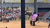 这样的表演，背后经历了多少不为人知的折磨。
