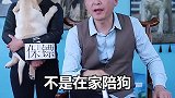 养狗人的特征你有吗？鹏哥养犬问答 鹏哥不白唠 狗萌宠出道计划