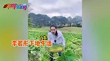 李若彤下乡干活自嘲村姑，放牛种菜毫无包袱，岁仍身材纤细苗条