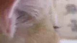 小猫咪天生婴儿睫，嘟嘟脸，长睫毛太奶了