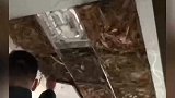 女子收拾老家房子发现巨型鸟窝。