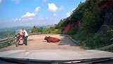 大哥我本地的让个道