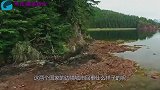 穿过美俄边境线，到达俄罗斯，这里又是另一番景象