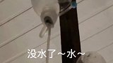 我的水没有了谁能救救我