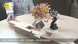 号称磁王“钕磁铁”，能否吸走血液中的铁？画面超刺激！