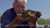 男子野外探险时，发现“龙形”生物！浑身布满鳞甲！