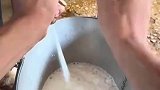 奶牛场内的一幕，一只牛挤半桶，产量高价钱也高