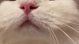 像不像刷看到帅哥的你？