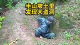 大山深处半山坡，发现一个大盗洞，里面会有什么呢？