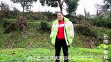 苗大姐辣椒往火里一刨，带灰擂钵一剁，不干不净吃了更香