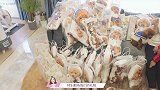霸气铲屎官给粉丝送礼物，快递费都花了300！你爱了吗