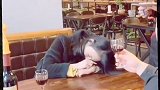 一定要看到最后
