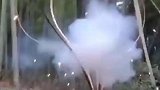 这才是真正的爆竹