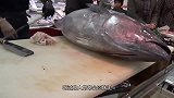 小伙现场表演切金枪鱼，切一块展示一遍，每一刀都是艺术！