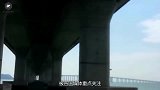 我国又一项世界级跨海大桥，耗资500亿元，预计2024年使用