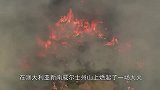 澳洲山火频发，“纵火犯”竟然是它，简直太无耻了！