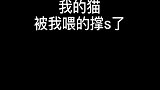 本以为家里小奶猫挂了，凑近那一刻，我差点笑岔气！