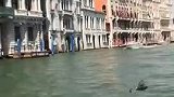 一座号称泡在海里的城市威尼斯，这个是他们必备的交通工具吗？