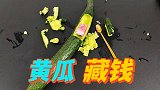黄瓜里面真的可以藏钱吗？帅小伙实测！
