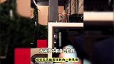 大冰的狗原来是圣伯纳，直播把大冰拖走太好笑，体重堪比成年男子