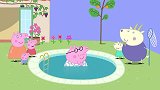 小猪佩奇：猪爸爸醒来，却掉进了游泳池，太逗了！