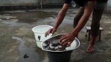 今天做了的3个硬菜，夫人连连夸奖，还要多吃1碗米饭