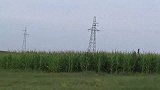 大黑大同泥土，今天买了面皮当午餐，吃这么一大盆够过瘾