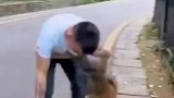 男子去峨眉山看猴，结果被猴子缠上了