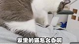 良心国产猫粮一定要支持！