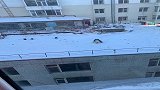 狗都知道感恩