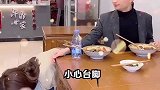 第一次和相亲对象吃饭，吃的好好的，她为什么突然生气走了呢？