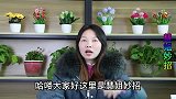 刷牙时牙膏是否要先沾水？很多人不知道，怪不得牙齿黄黄的