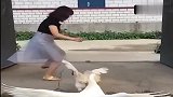 宝妈：这家伙成精了，敢恐吓我！
