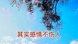 情感语录：错的是，没有遇见珍惜你的人