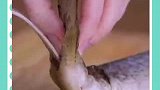 实用小技巧：居家必备厨房