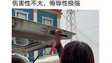 五菱的配置究竟有多高带你懂车