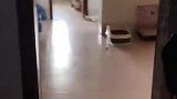 波糯波糯呀的视频