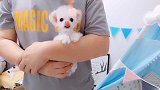 Bulingbuling的大眼睛