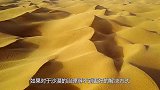 中国在塔克拉玛干沙漠，投资上亿种下大量植物，结果变成啥样了？