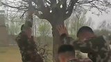 兵哥哥挖树，为了推倒使老大劲了
