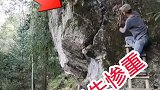 一顿操作猛如虎，看看也不行啊