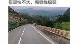 盘点沙雕导航带你懂车