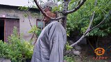 散打小伙找武术大师切磋，结果一拳下去直接赔50万，真是大意了