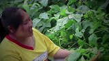 天气燥热吃不下去饭，胖妹整5包方便面，配西红柿酸辣开胃喝过瘾