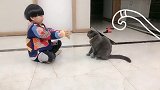 自从养了猫，带娃轻松多了训猫日常 上热门